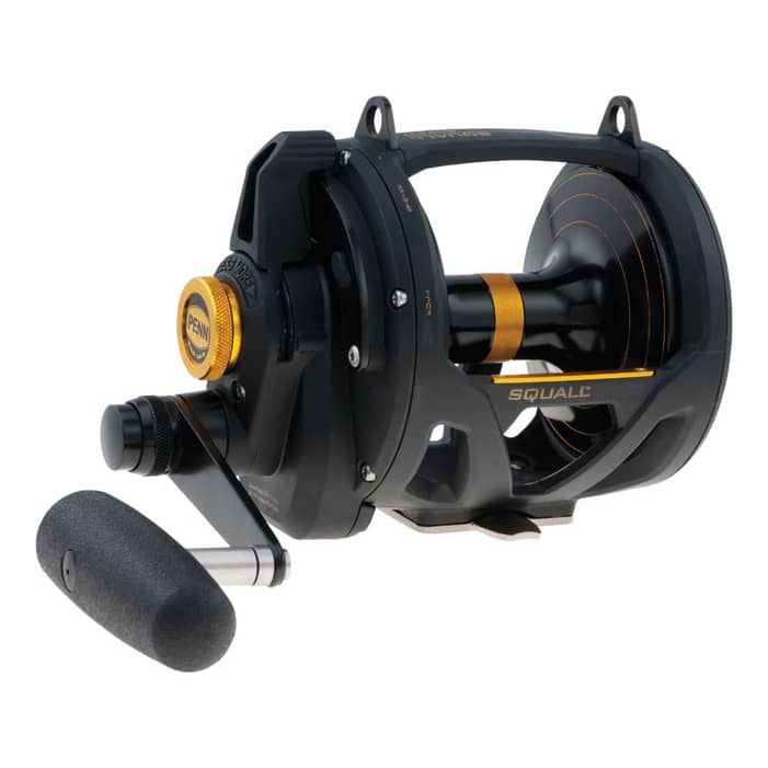 SHIMANO TLD 25 Lever Drag Conventional Reel